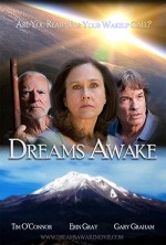 Dreams Awake (2011) afişi
