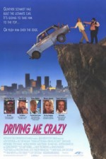 Driving Me Crazy (1991) afişi