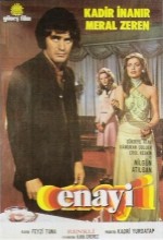 Enayi (1974) afişi