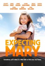 Expecting Mary (2010) afişi