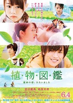 Evergreen Love (2016) afişi