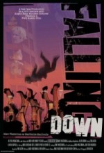 Falling Down 1 (2010) afişi