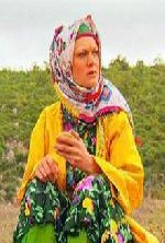 Ferayi (2004) afişi