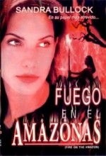 Fire On The Amazon Fire On The Amazon