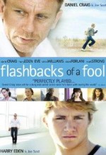 Bir Aptalın Anıları (2008) afişi Bir Aptalın Anıları (2008) afişi