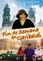 Fin De Semana En Garibaldi (1991) afişi