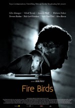 Fire Birds (2015) afişi