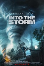 Fırtınanın İçinde (2014) afişi