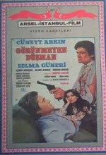 Görünmeyen Düşman (1978) afişi