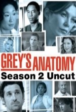 Grey's Anatomy (2006) afişi Grey's Anatomy (2006) afişi