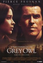 Gri Baykuş (1999) afişi Gri Baykuş (1999) afişi