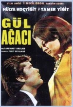 Gül Ağacı (1967) afişi