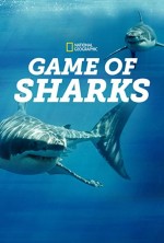 Game of Sharks (2022) afişi