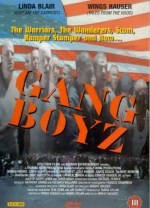 Gang Boyz (1994) afişi