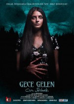 Gece Gelen: Cin Bebek (2019) afişi