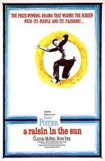 Güneşte Bir Leke (1961) afişi
