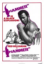Hammer Hammer