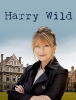 Harry Wild (2022) afişi