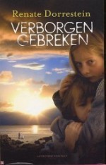 Hidden Flaws (2004) afişi Hidden Flaws (2004) afişi