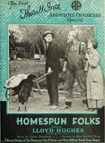 Homespun Folks (1920) afişi