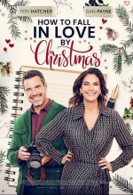 How to Fall in Love by Christmas (2023) afişi