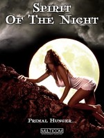 Huntress: Spirit Of The Night (1995) afişi