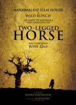İki Bacaklı At (2008) afişi