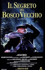 ıl Segreto Del Bosco Vecchio (1993) afişi