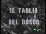Il taglio del bosco (1963) afişi