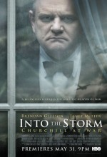 Into The Storm (2009) afişi Into The Storm (2009) afişi