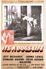 ıt's A Dog's Life (1955) afişi