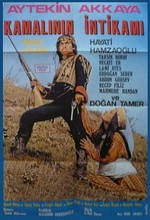 Kamalının intikamı (1972) afişi
