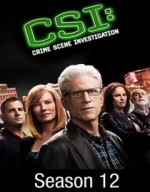 Kanıt Peşinde Sezon 12 (2012) afişi Kanıt Peşinde Sezon 12 (2012) afişi