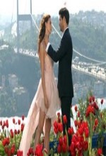 Lale Devri (2010) afişi Lale Devri (2010) afişi