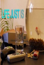 Life Just Is (2011) afişi