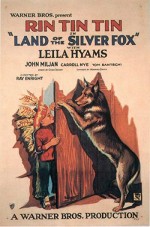 Land Of The Silver Fox (1928) afişi