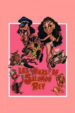Las Minas De Salomón Rey (1986) afişi