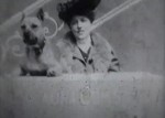 Laura Comstock's Bag-punching Dog (1901) afişi