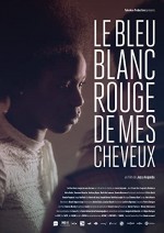 Le Bleu blanc rouge de mes cheveux (2017) afişi