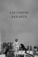 Les Chiens Savants (1902) afişi