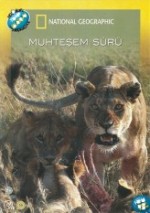 Muhteşem Sürü (2008) afişi