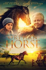 Orphan Horse Orphan Horse