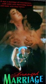 Oyun Gibi Evlilik (1996) afişi