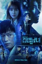 Partners for Justice Sezon 2 (2019) afişi Partners for Justice Sezon 2 (2019) afişi