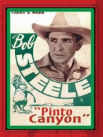Pinto Canyon (1940) afişi