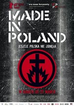 Polonya Yapımı (2010) afişi