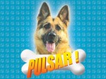 Pulsar (2008) afişi