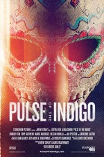 Pulse of the Indigo (2012) afişi