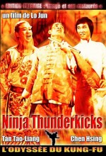 Revenge Of A Shaolin Master (1979) afişi