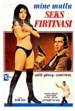 Seks Fırtınası (1976) afişi